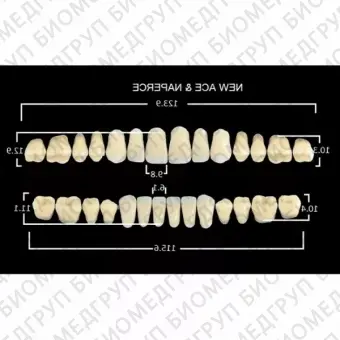 Гарнитуры пластмассовых зубов S7 M34, цвет A3, 28 шт.