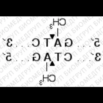 Эндонуклеаза рестрикции DpnI, 20 000 ед/мл, New England Biolabs, R0176 L, 5 000 единиц