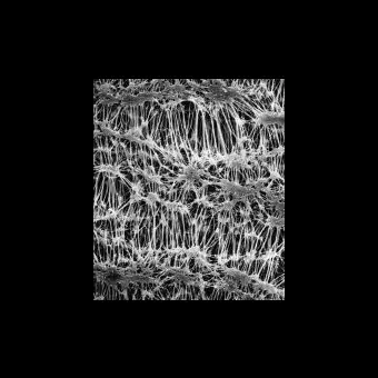 Фильтр, Флуоропор, d пор 0,22 мкм, d мембраны 13 мм, 100 шт., Merck Millipore, FGLP01300