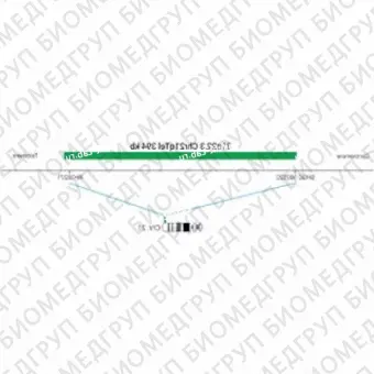 ДЛЯ КЛИЕНТОВ ЗА ПРЕДЕЛАМИ США. SureFISH 21q22.3 Chr21qTel 394kb P20 GR