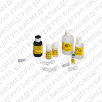 Набор Aurum Total RNA Mini/96 Kit для выделения РНК2 x 96 реакций