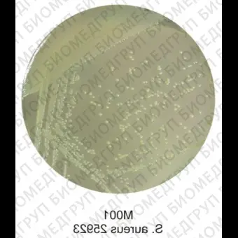 Агар питательный, 500г ФСЗ 2009/03707 в соотв. с ГОСТ Р 528142007