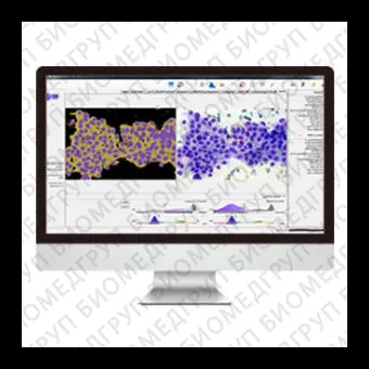 Программное обеспечение клеточной визуализации AmCADCA