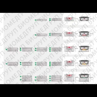 Контейнер для стерилизации marSafe 3/4, красная рамка, 473014см KLS Martin