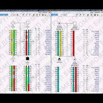 Программное обеспечение для генетики GeneMarker MTP