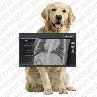 Ветеринарная рентгенографическая система SignalRAY