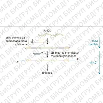Набор для секвенирования гена 16SРНК, 16S Barcoding Kit, Oxford Nanopore Technologies, SQKRAB204