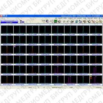 Программное обеспечение для электрофореза PHORESIS CORE