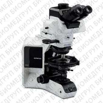 Микроскоп поляризационный Olympus BX53P, Olympus, Olympus BX53P