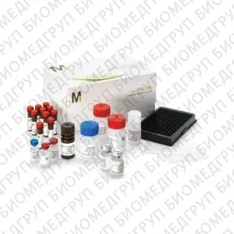 Панель 7Plex Early Apoptosis Magnetic Bead Kit для одновременного определения маркеров раннего апоптоза человека96 тестов