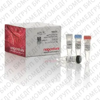 Набор AccuPrime Taq DNA Polymerase System, Thermo FS, 12339024, 1000 реакций