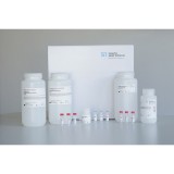 Набор реактивов в растворе deltaPREP AniPath DNA/RNA Kit KFFLX