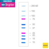 Маркеры белковые молекулярного веса, предокрашенные, Dual Color, 10-250 кДа, 10 полос, Bio-Rad, 1610374, 500 мкл