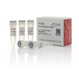 Раствор ДНК спермы сельди/Herring Sperm DNA Solution, UltraPure, Thermo FS, 15634017, 5х1 мл