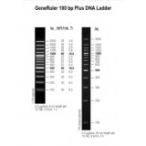 Маркер длин ДНК GeneRuler 100 bp Plus, 14 фрагментов от 100 до 3000 п.н., 0,5 мкг/мкл, Thermo FS, SM0322, 5х50 мкг