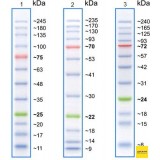 Маркеры белковые молекулярного веса, предокрашенные, Prism Ultra, 10-245 кДа, 12 полос, Abcam, ab116028, 500 мкл