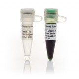 ДНК-полимераза DreamTaq Green, термостабильная,  5 ед/мкл, Thermo FS, EP0714, 20х500 единиц