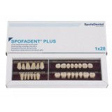 Spofadent Plus (С3) 1/37-0/5-1/62