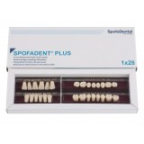 Spofadent Plus (В2) 1/23-0/7-1/60