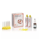 Джинджифаст Риджид / Gingifast Rigid (2x50ml Cartr.+m.t.)