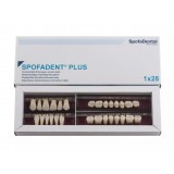 Spofadent Plus (А2) 1/17-0/6-77N