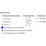 Стандарт N-гликанов AdvanceBio InstantPC G0/A2 (ранее ProZyme)