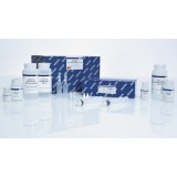 Набор QIAGEN Plasmid Plus Midi Kit для выделения плазмидной ДНК(100 реакций)